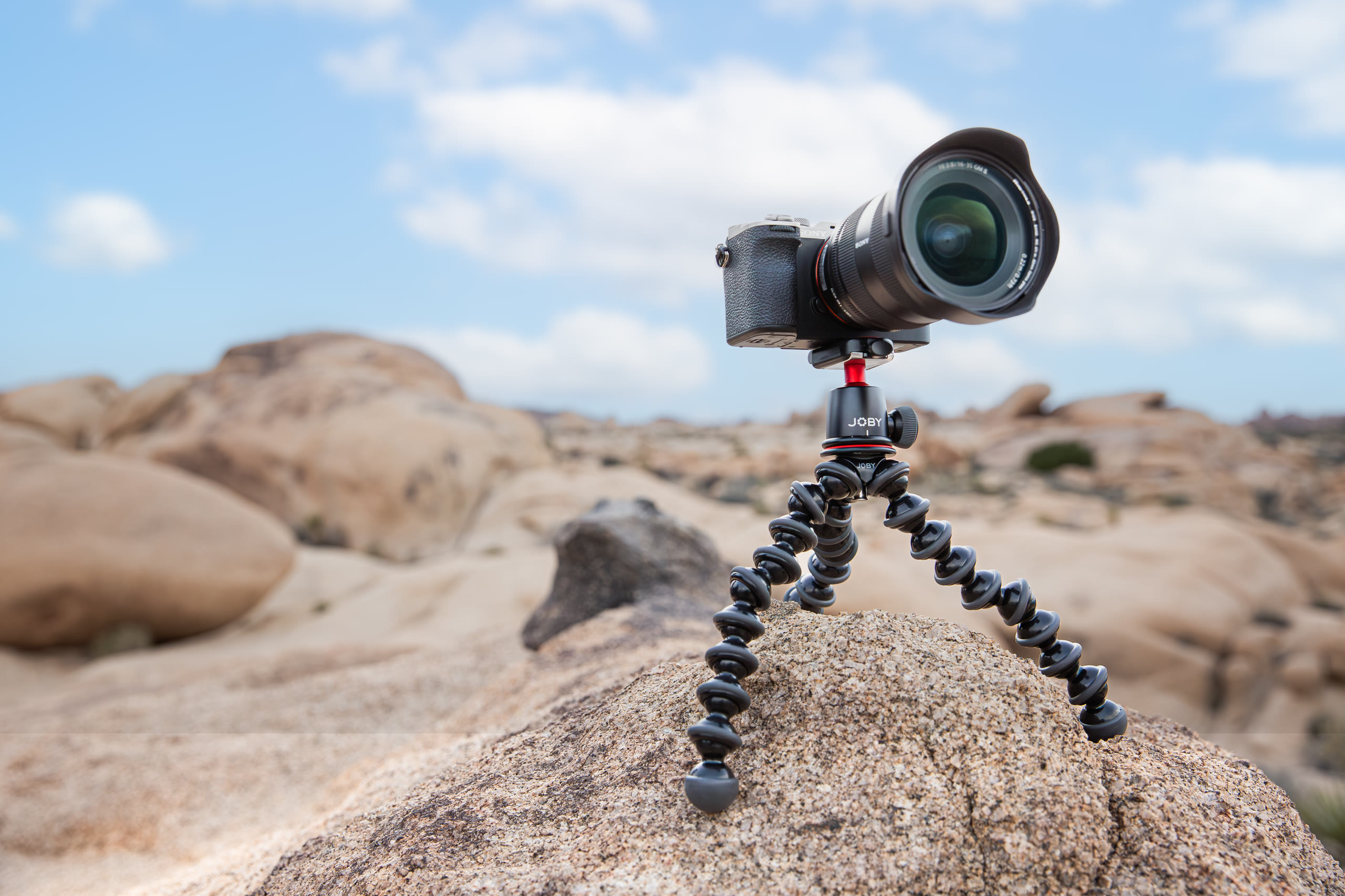 JOBY — Product and Lifestyle, Joshua Tree — still 13