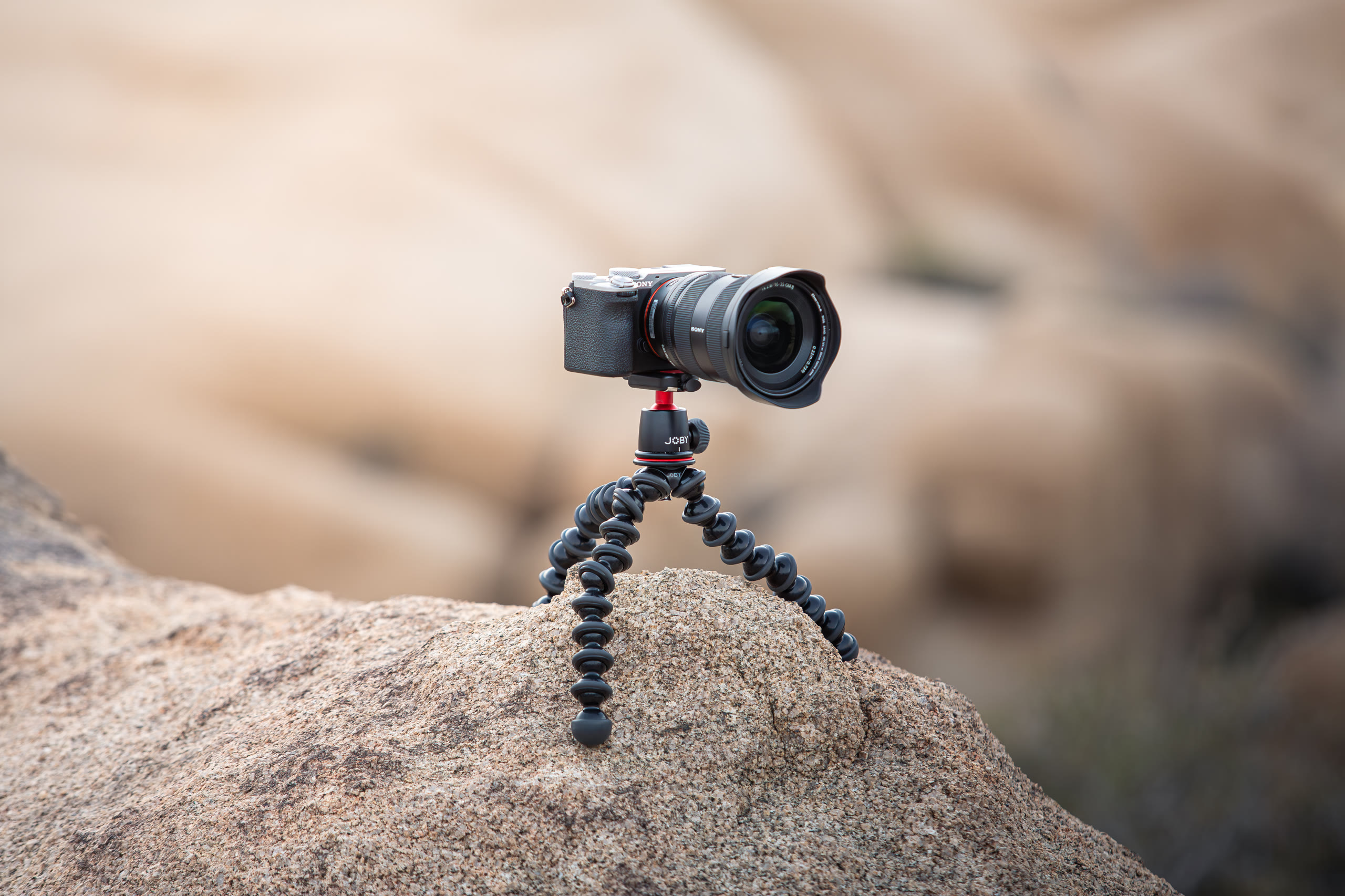 JOBY — Product and Lifestyle, Joshua Tree — still 23