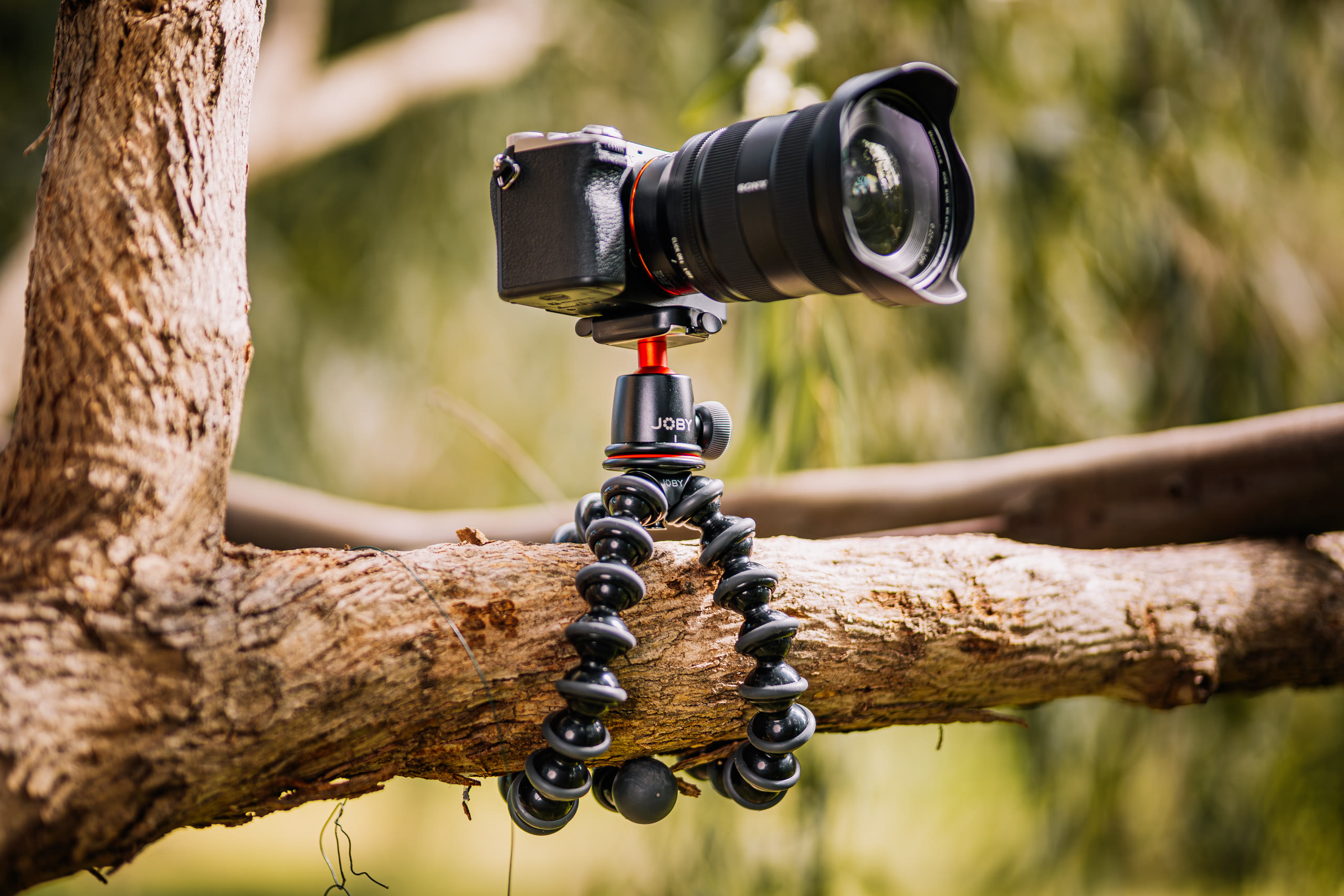JOBY — Product and Lifestyle, Mounted Product — still 14