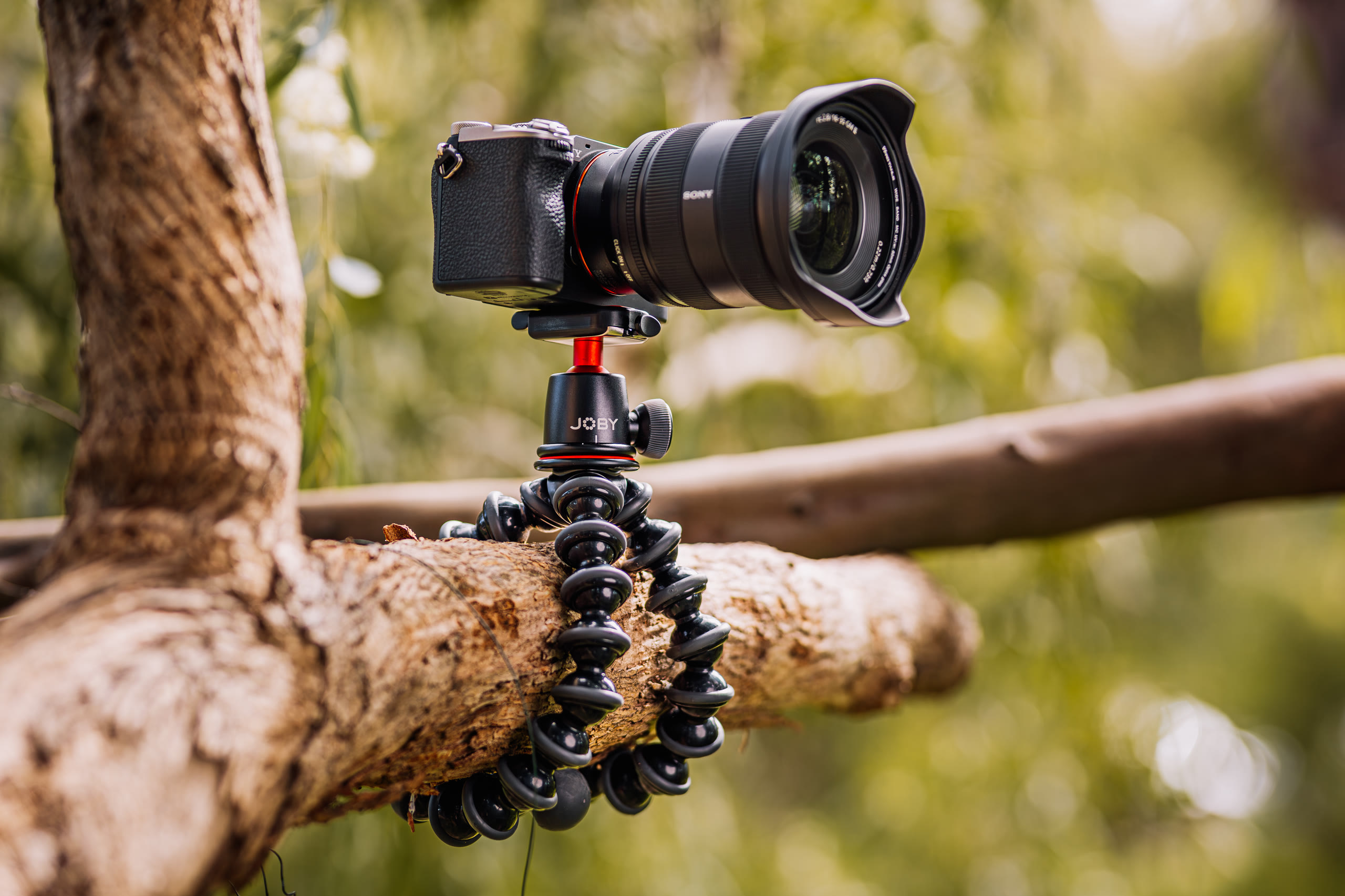 JOBY — Product and Lifestyle, Mounted Product — still 17