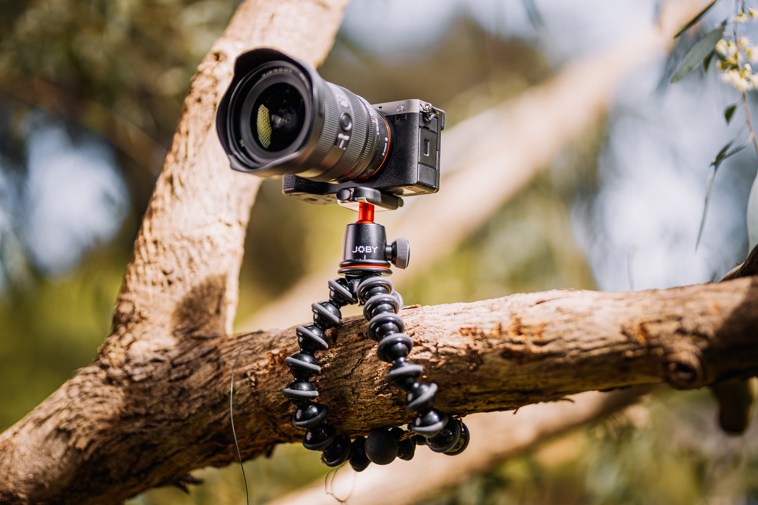 JOBY — Product and Lifestyle, Mounted Product — still 22