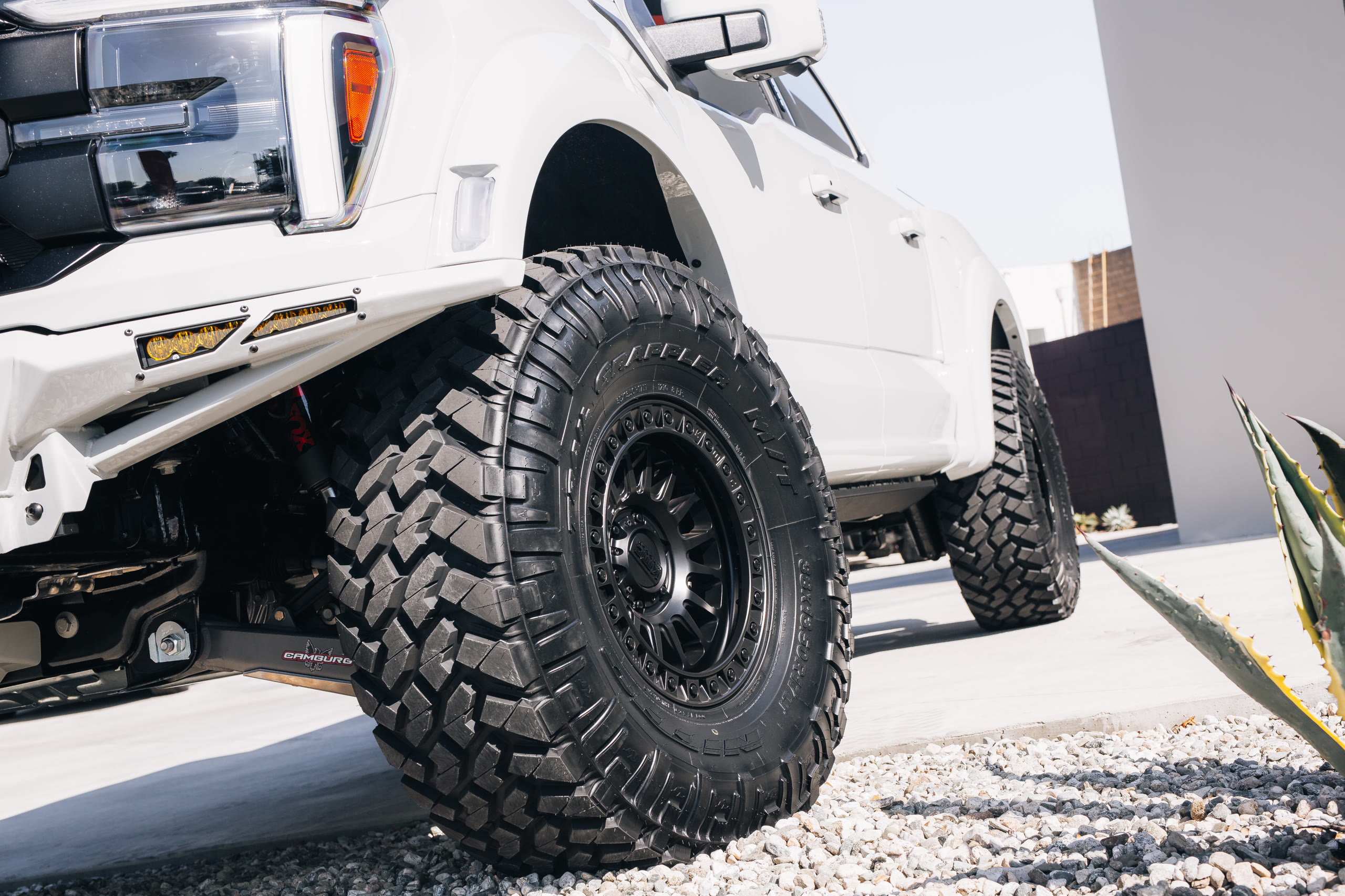 Shoreline Motoring — Builds, Ford F-150 Raptor R — still 7