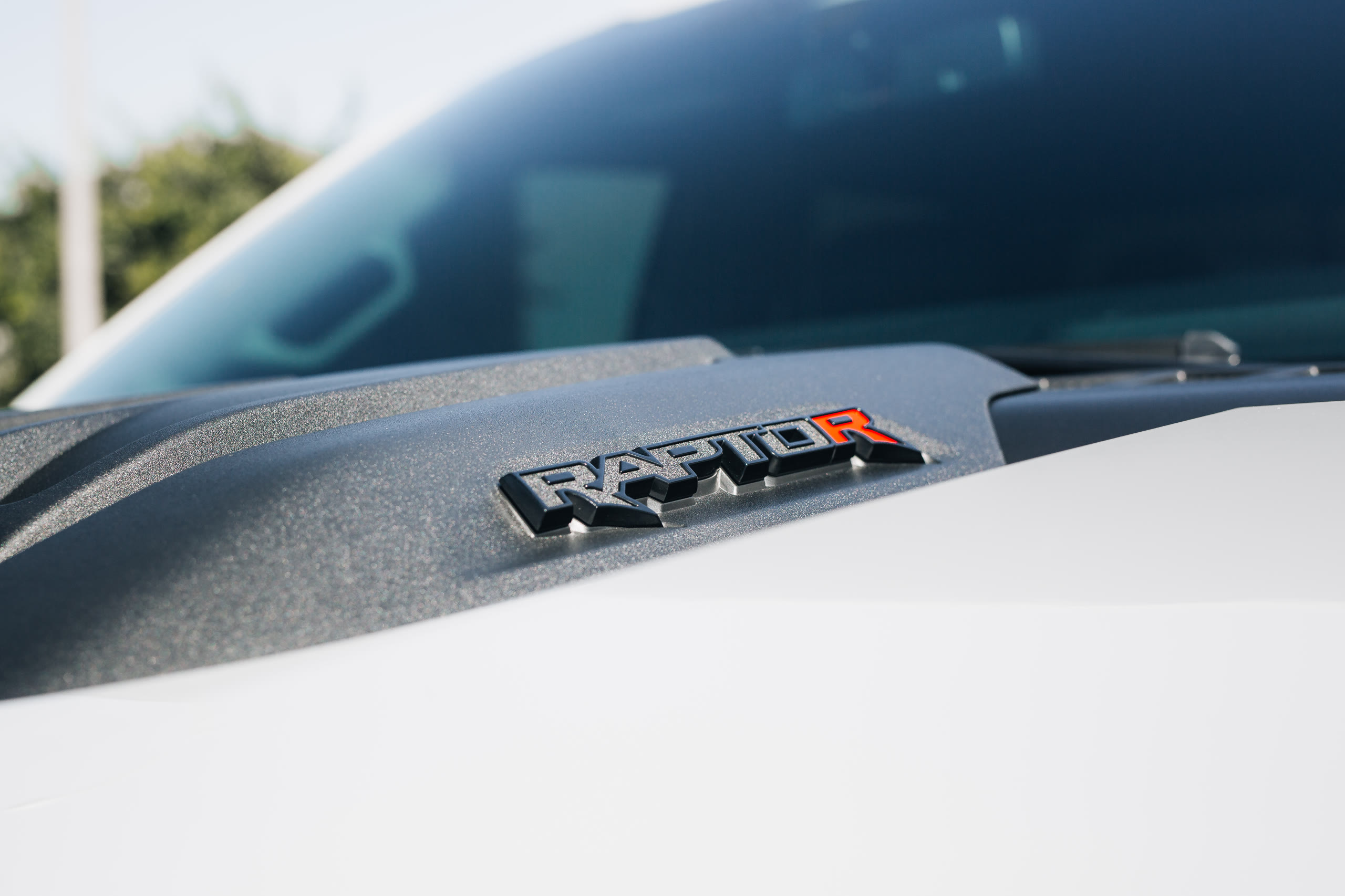 Shoreline Motoring — Builds, Ford F-150 Raptor R — still 9